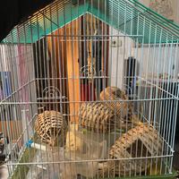 Gabbia per uccelli (inseparabili/pappagallini etc)