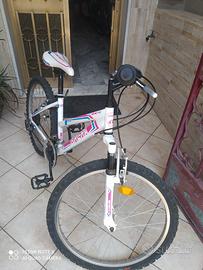 Bicicletta da bambina