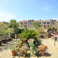 NUDA PROPRIETA' - TRILOCALE DI RECENTE COSTRUZIONE