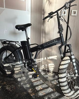 bicicletta elettrica 