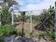 Immagine 26