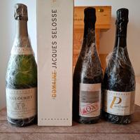 COLLEZIONE 4 CHAMPAGNE