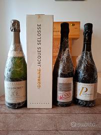 COLLEZIONE 4 CHAMPAGNE