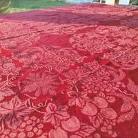 servizio tovaglie e tovaglioli 