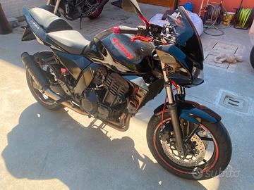 Kawasaki Z 2010