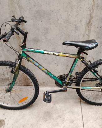 biciclette