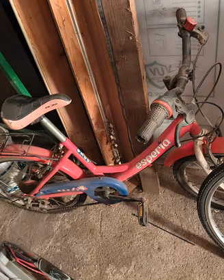 bicicletta da bambina 