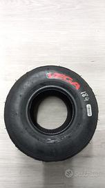 VEGA ROSSE PER MINI DA WSK DEL 18/04/2026