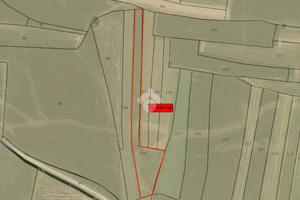 TER. AGRICOLO A TORREANO