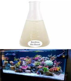 BENTHOS Bio Boost Integrazione acquario marino DSB