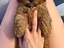 Immagine 1