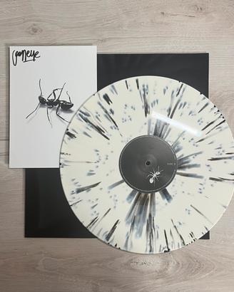 Vinile autografato Gazzelle Indi