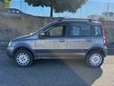 fiat-panda-1-2-4x4-gpl
