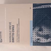 BALLORIANI Manuale breve diritto civile