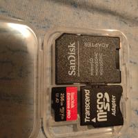 micro SD 256 gb