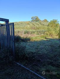 TERRENO PIANEGGIANTE DI 3000 Mq