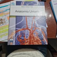 anatomia umana 