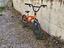 Immagine 4