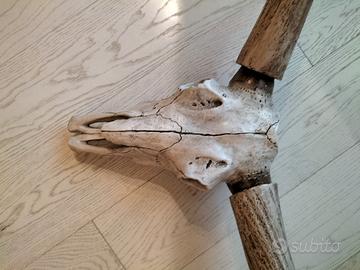 decorazione da parete 