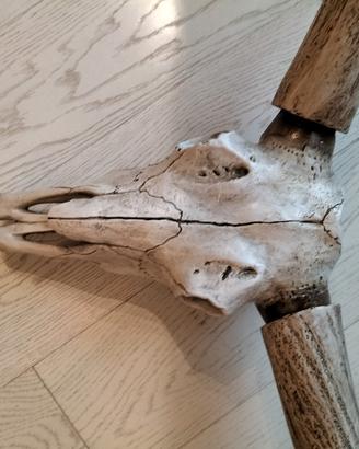 decorazione da parete 