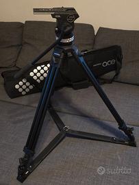 Sachtler ACE XL treppiede video