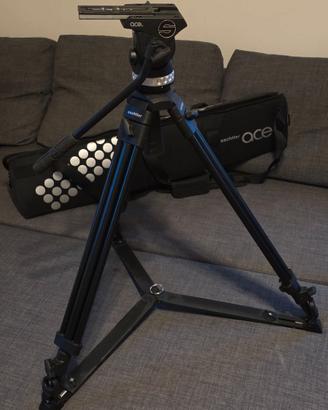 Sachtler ACE XL treppiede video