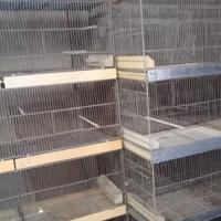 Gabbie da 12 a 35 euro