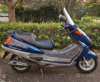 Pantheon 150 2t 