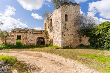 Terreno agricolo - Ruvo di Puglia