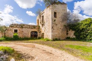 Terreno agricolo - Ruvo di Puglia