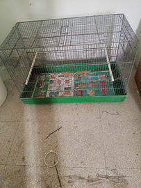 Mai usata nuovissima per uccelli