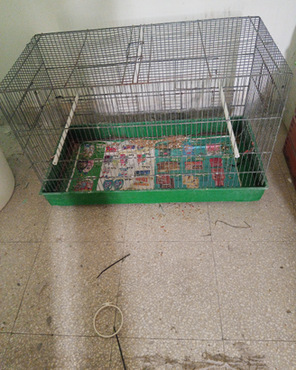 Mai usata nuovissima per uccelli