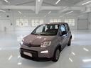 fiat-panda-1-0-firefly-70cv-s-s-hybrid-panda