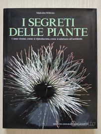Malcolm Wilkins I SEGRETI DELLE PIANTE De Agostini