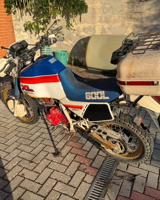 Honda XL 600 L