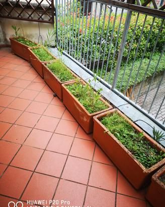 6 VASI UGUALI COCCIO RETTANGOLARI PER GIARDINO