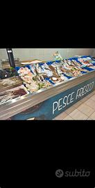 Attivita negozio pescheria gastronomia frigo