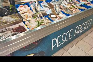 Attivita negozio pescheria gastronomia frigo