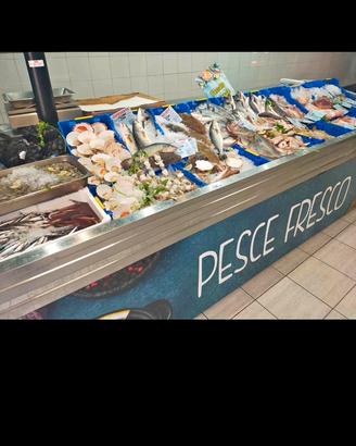 Attivita negozio pescheria gastronomia frigo