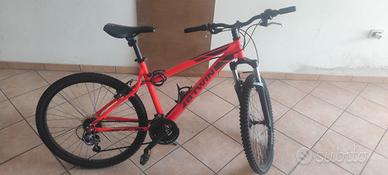 Telaio mountain-bike 
