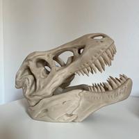 Creazione stampa 3d testa teschio dinosauro