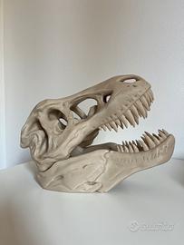 Creazione stampa 3d testa teschio dinosauro