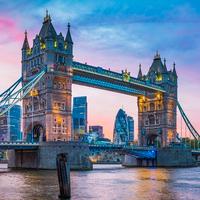 Insegnante lingua inglese