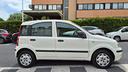 fiat-panda-1-2-dynamic