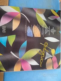 vinile 33 giri 
