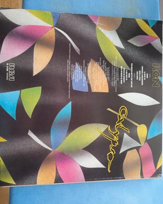vinile 33 giri 