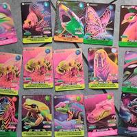 CARD amici cucciolotti anno 2023-24