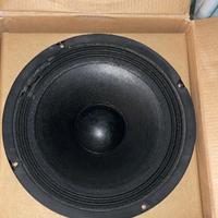 altoparlanti da 20 cm loudest sound