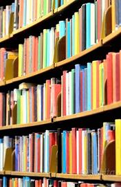 libri sia di autori italiani che stranieri