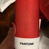 Cassa bluetooth Pantone